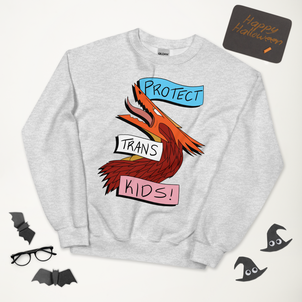 a gray sweatshirt shows a red and orange dragon roaring. Around it are banners in trans pride colors, declaring "Protect Trans Kids!"